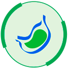 Tumores gastrointestinais